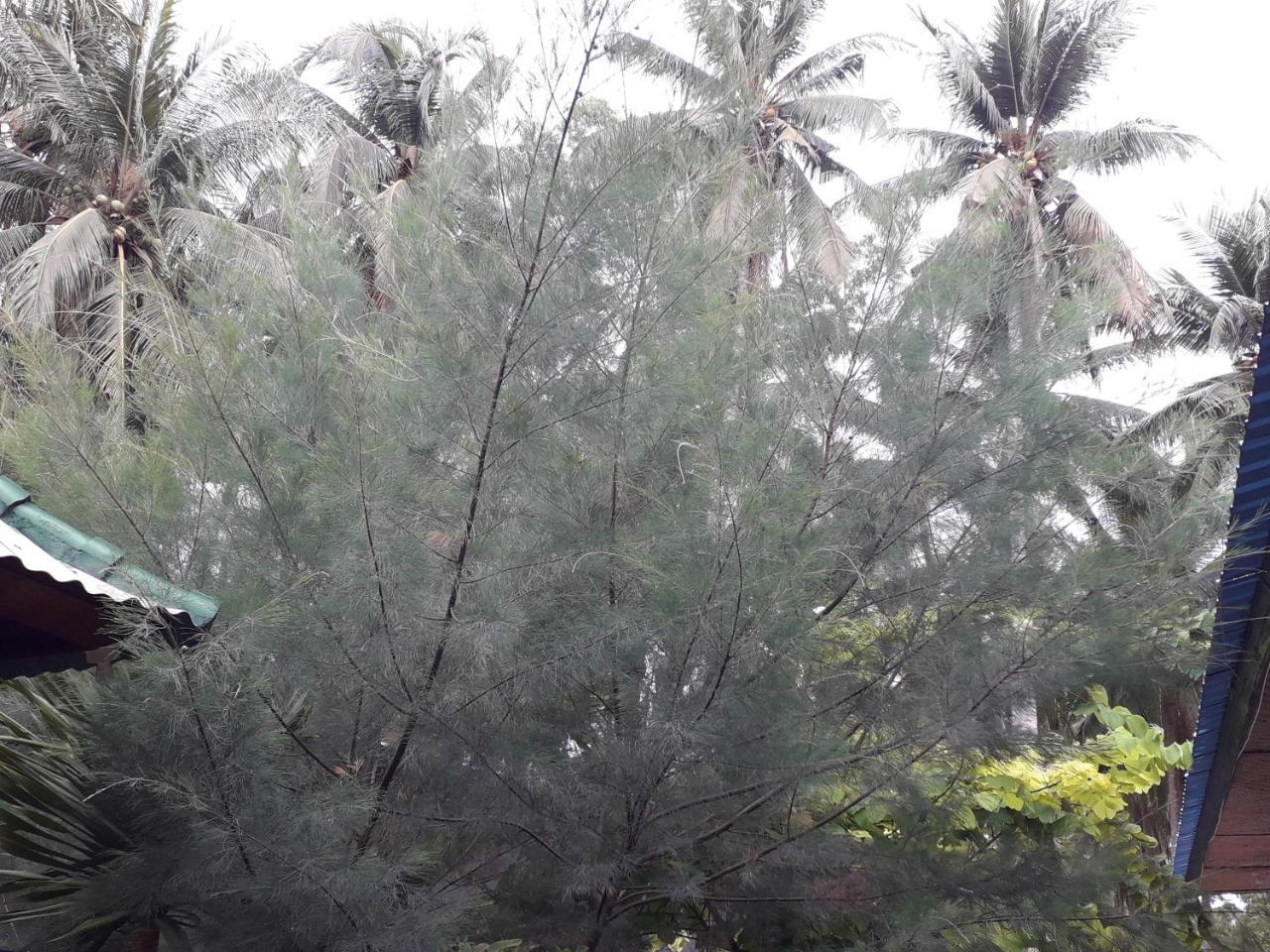 Jasmine Inn Nusa Penida Zewnętrze zdjęcie